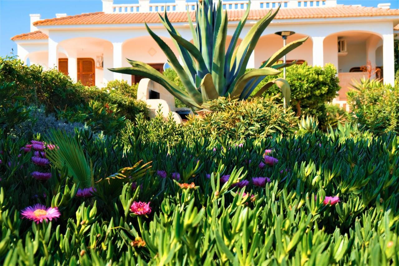 Villa Sette Nani Torre Lapillo Exteriér fotografie